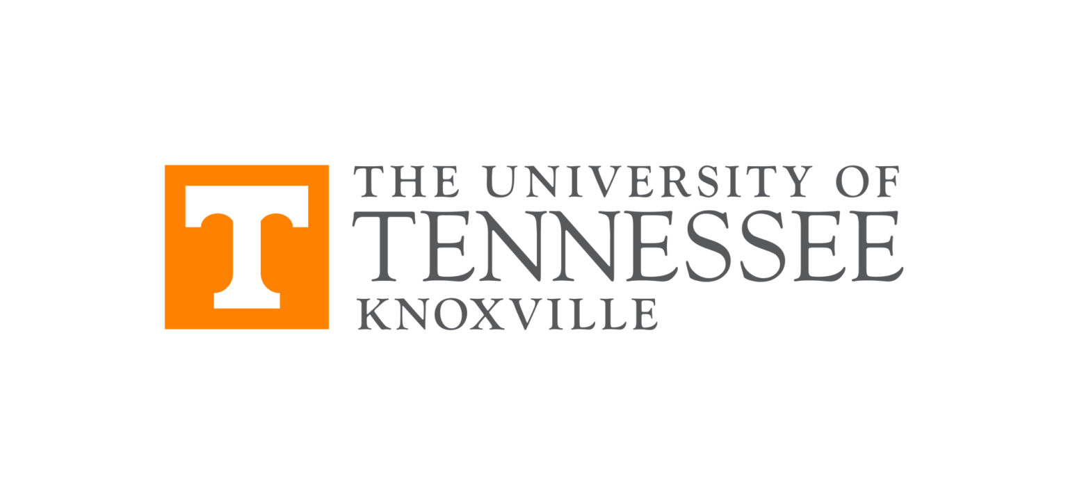 University of Tennessee Knoxville Equity in Mental Health Framework